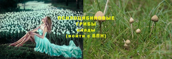 spice Армянск