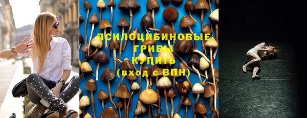 spice Армянск
